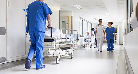 Healthcare Facility Services